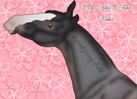 Thumbnail image for 12289 PPC Ashes To Ashes