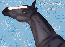 Thumbnail for 12217 PPC Kall Me Kahlua