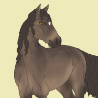 Thumbnail of 11146 Spiced Rum