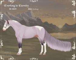 Thumbnail for 10635 Everlong in Eternity