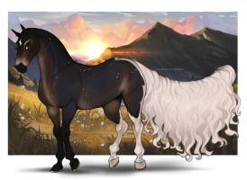 2024 Dancing in the Moonlight Thumbnail