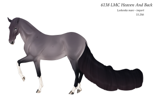 Thumbnail for 6138 LMC Heaven And Back