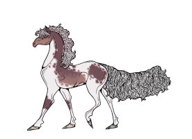 Thumbnail of 6268 Juniper Brew At Midnight