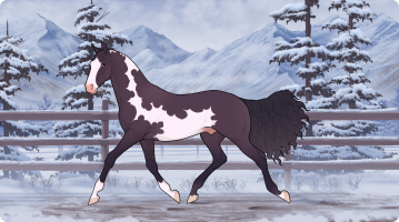 Thumbnail for 12320 Blueberry Cheesecake