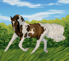 Thumbnail for 12242 SP That's Showbiz Baby