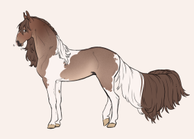 Thumbnail for 12262 CS Caramel Cold Brew