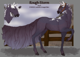 Thumbnail for 6026 Rough Storm