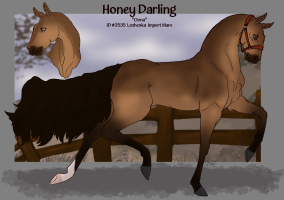 Thumbnail for 3535 Honey Darling