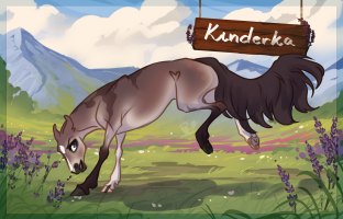 Thumbnail for 7984 Kinderka