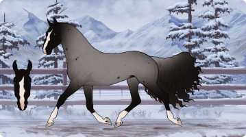 Thumbnail for 0370 Cherub Rock