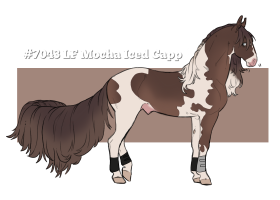 Thumbnail for 7043 LF Mocha Iced Capp