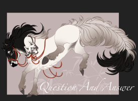 Thumbnail for 11569 Question And Answer