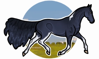 Thumbnail for 11942 Rayleigh Scattering