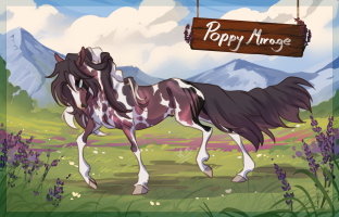 8081 Poppy Mirage Thumbnail