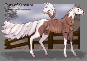 Thumbnail for 10991 Taste of Kerosene