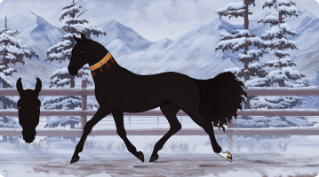 Thumbnail of 7719 La Jolie