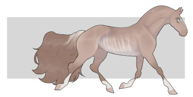 1712 Arcadia Thumbnail