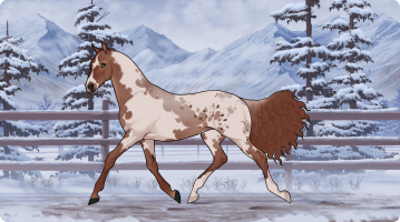 Thumbnail for 5753 Mort's Mosstowie