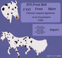 Thumbnail for 12384 SVS Frost Belt