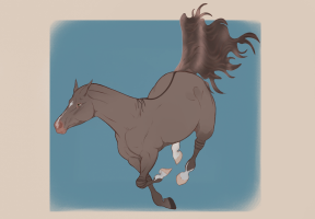 Thumbnail for 12358 Cookie Serenade