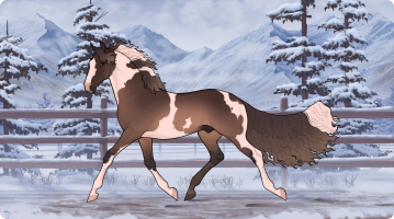 Thumbnail for 12446 CS Espresso Romano