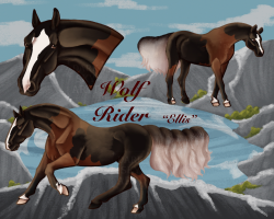 Thumbnail for 11116 Wolf Rider