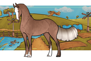 Thumbnail for 0579 A Solar Journey