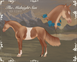 Thumbnail for 12461 The Midnight sun