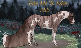 Thumbnail for 11916 Take Me To Eden