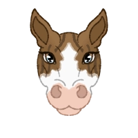 Thumbnail for 1016 BOE Burning Star