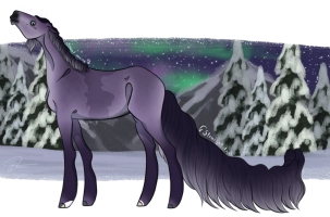 Thumbnail for 9611 Polar Nights Symphony