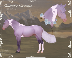 Thumbnail for 12545 Lavender Dreams
