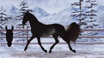 Thumbnail for 2504 FMA Ferrari