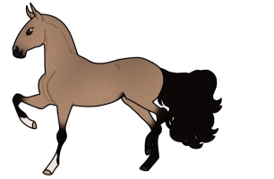 Thumbnail for 2960 JSS Downhill Again