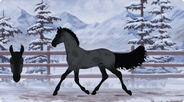 Thumbnail for 2556 RWS Howling At The Moon