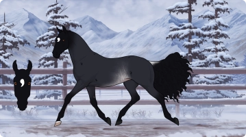 Thumbnail for 4227 SR Fading Whispers