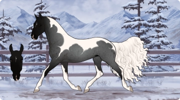 Thumbnail of 2729 PF Midaya