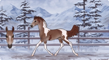 Thumbnail for 2746 Ring of Fire