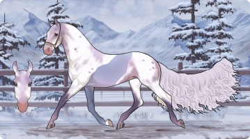 Thumbnail for 8349 CottenCandy Spritz