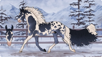 Thumbnail for 8430 PF Illusionist