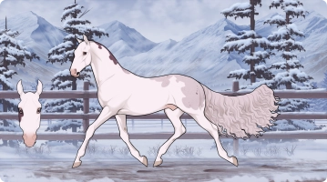 Thumbnail for 8445 Concerto