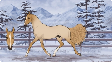 Thumbnail for 8507 Scotch Tape