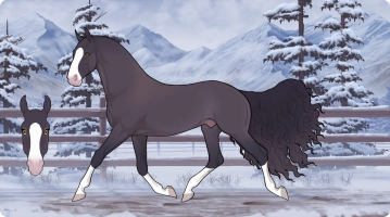 Thumbnail for 8545 On the Rocks