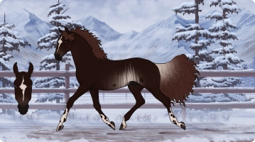 Thumbnail for 8594 Vivace