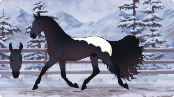 Thumbnail of 8693