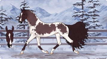 Thumbnail for 6825 Velvet Melody