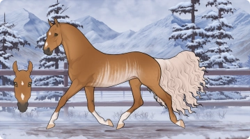 Thumbnail for 6168 Solimar Ignis