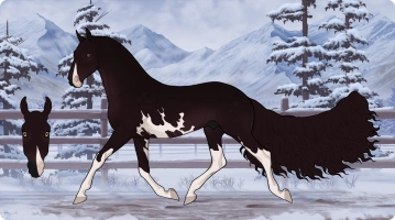 Thumbnail for 6265 CMA Overcompensate