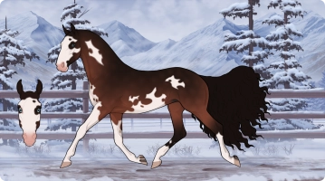 Thumbnail for 6298 FHR's Evergreen Way (Everlyn)