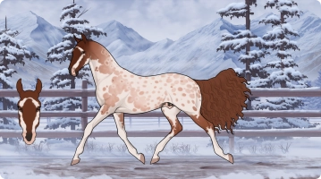 Thumbnail for 6341 Hotdog Water